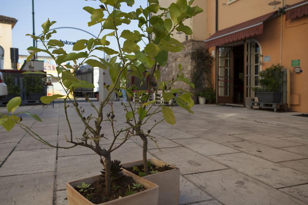 Albergo Al Cacciatore Tortellinando Valeggio sul Mincio Exterior foto